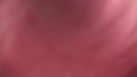 23734